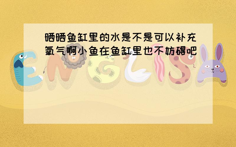 晒晒鱼缸里的水是不是可以补充氧气啊小鱼在鱼缸里也不妨碍吧