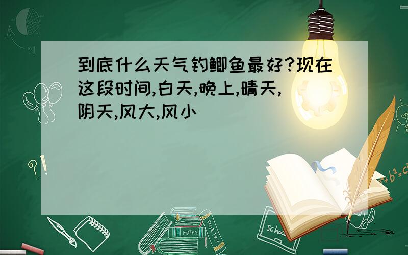 到底什么天气钓鲫鱼最好?现在这段时间,白天,晚上,晴天,阴天,风大,风小