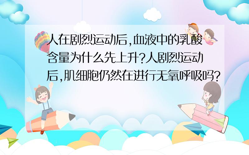 人在剧烈运动后,血液中的乳酸含量为什么先上升?人剧烈运动后,肌细胞仍然在进行无氧呼吸吗?