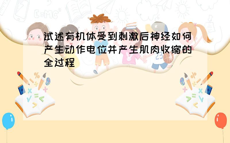 试述有机体受到刺激后神经如何产生动作电位并产生肌肉收缩的全过程