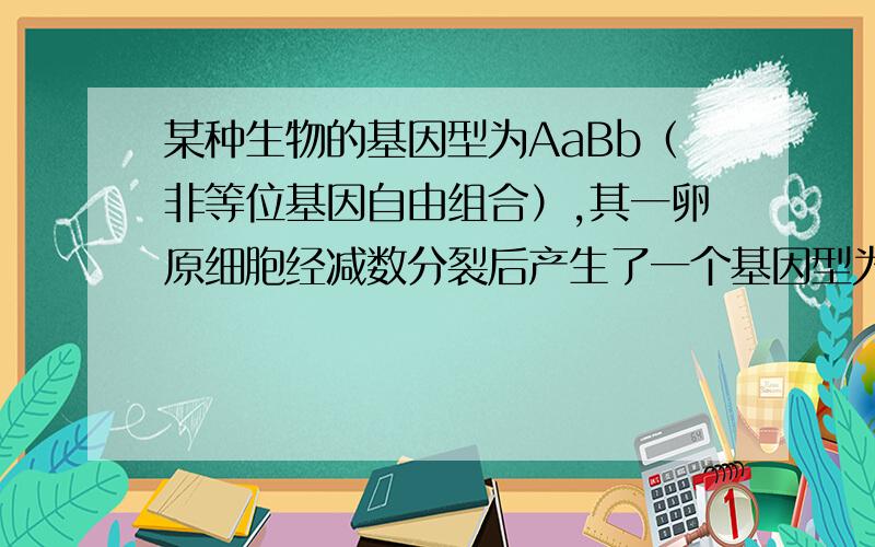 某种生物的基因型为AaBb（非等位基因自由组合）,其一卵原细胞经减数分裂后产生了一个基因型为aB的卵细胞和三个极体,这三个极体的基因组成分别是?