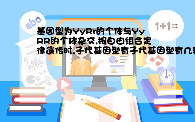 基因型为YyRr的个体与YyRR的个体杂交,按自由组合定律遗传时,子代基因型有子代基因型有几种？