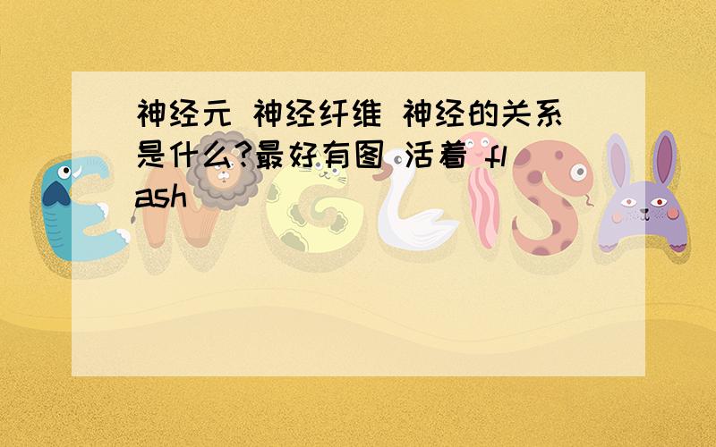 神经元 神经纤维 神经的关系是什么?最好有图 活着 flash