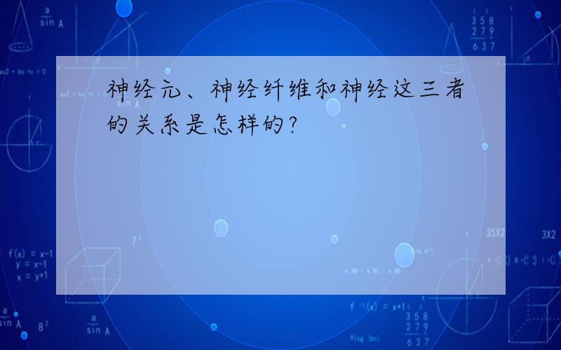 神经元、神经纤维和神经这三者的关系是怎样的?