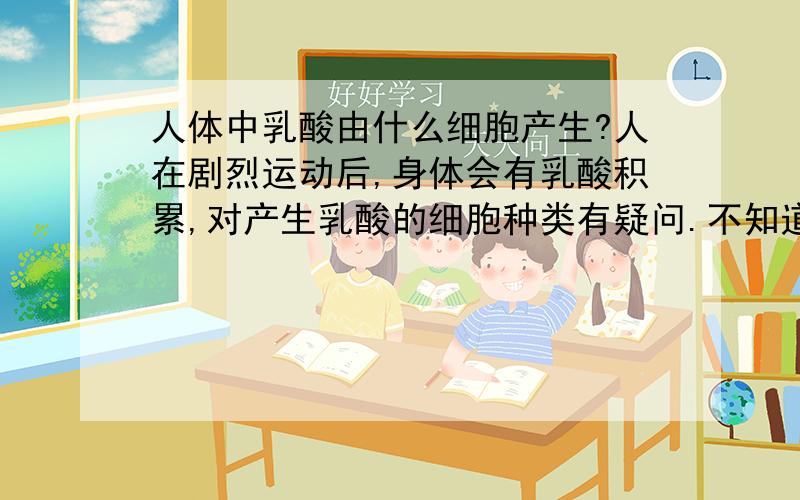 人体中乳酸由什么细胞产生?人在剧烈运动后,身体会有乳酸积累,对产生乳酸的细胞种类有疑问.不知道只是肌肉细胞产生乳酸还是有其他的细胞产生乳酸!