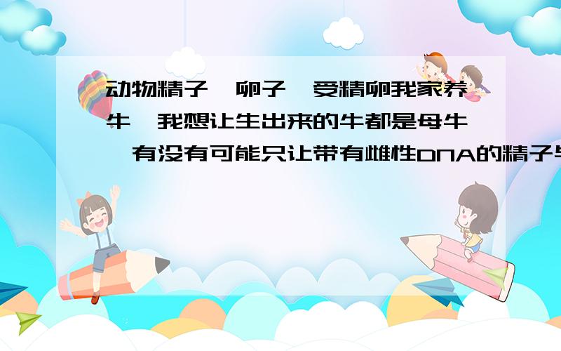 动物精子、卵子、受精卵我家养牛,我想让生出来的牛都是母牛,有没有可能只让带有雌性DNA的精子与卵子结合啊!