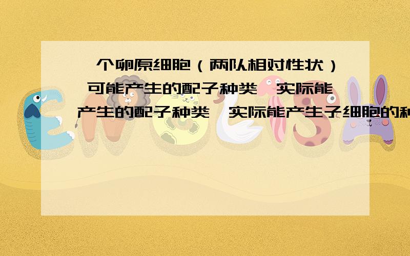 一个卵原细胞（两队相对性状） 可能产生的配子种类,实际能产生的配子种类,实际能产生子细胞的种类 分别是什么