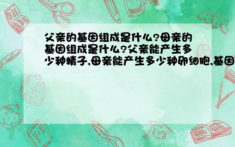 父亲的基因组成是什么?母亲的基因组成是什么?父亲能产生多少种精子,母亲能产生多少种卵细胞,基因是?急用的