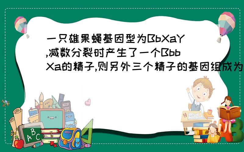 一只雄果蝇基因型为BbXaY,减数分裂时产生了一个BbbXa的精子,则另外三个精子的基因组成为?答案知道了,但是我想知道详细的解释,越清楚越好,我这里一块知识很搞不清.