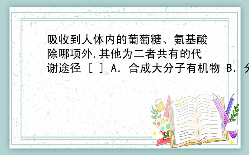 吸收到人体内的葡萄糖、氨基酸除哪项外,其他为二者共有的代谢途径 [ ] A．合成大分子有机物 B．分解释放能量 C．在生物体内贮存起来 D．转化成其他有机物请说为什么.