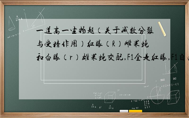 一道高一生物题（关于减数分裂与受精作用）红眼（R）雌果蝇和白眼（r）雄果蝇交配,F1全是红眼,F1自由交配所得得F2中红眼雌果蝇121只,红眼雄果蝇60只,白眼雄果蝇0只,白眼雌果蝇59只.则F2的