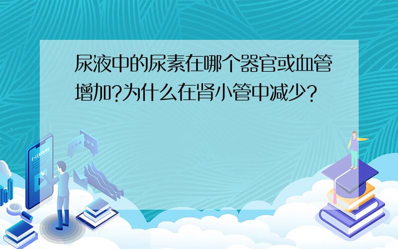 尿液中的尿素在哪个器官或血管增加?为什么在肾小管中减少?