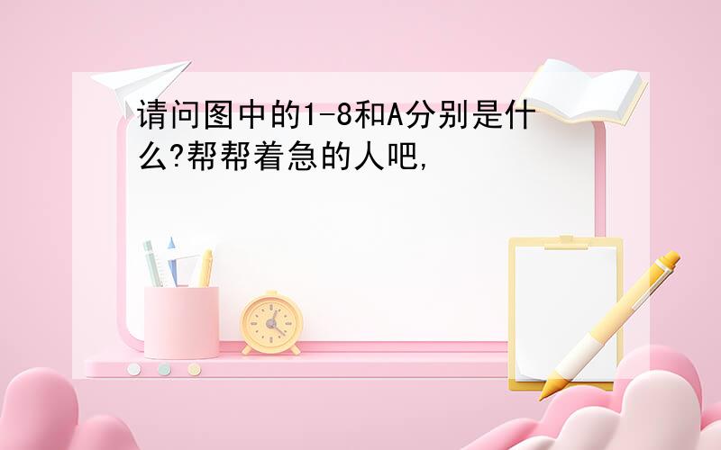 请问图中的1-8和A分别是什么?帮帮着急的人吧,