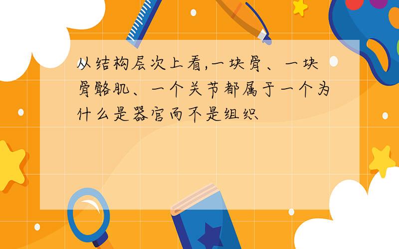 从结构层次上看,一块骨、一块骨骼肌、一个关节都属于一个为什么是器官而不是组织