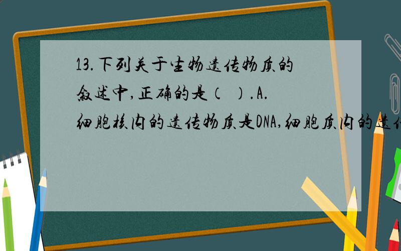 13.下列关于生物遗传物质的叙述中,正确的是（ ）.A.细胞核内的遗传物质是DNA,细胞质内的遗传物质是RNA13.下列关于生物遗传物质的叙述中,正确的是（ ）.A.细胞核内的遗传物质是DNA,细胞质内