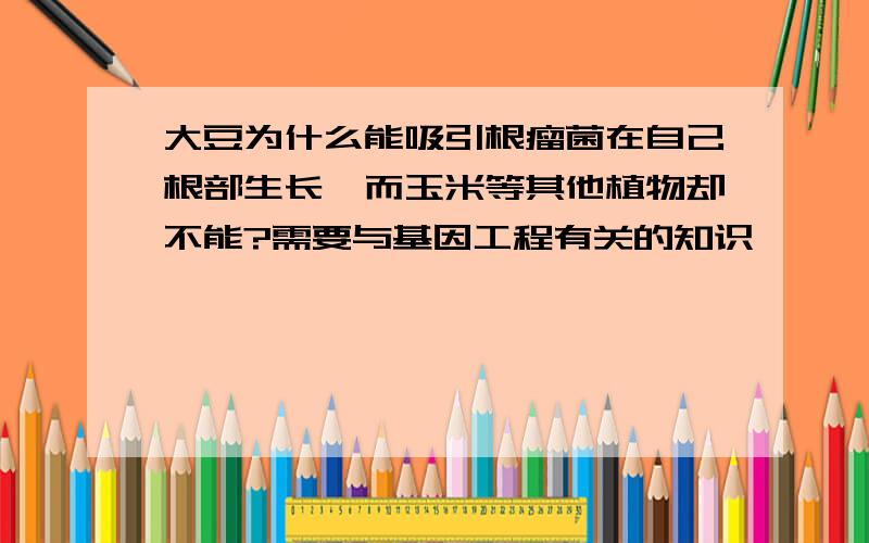 大豆为什么能吸引根瘤菌在自己根部生长,而玉米等其他植物却不能?需要与基因工程有关的知识,