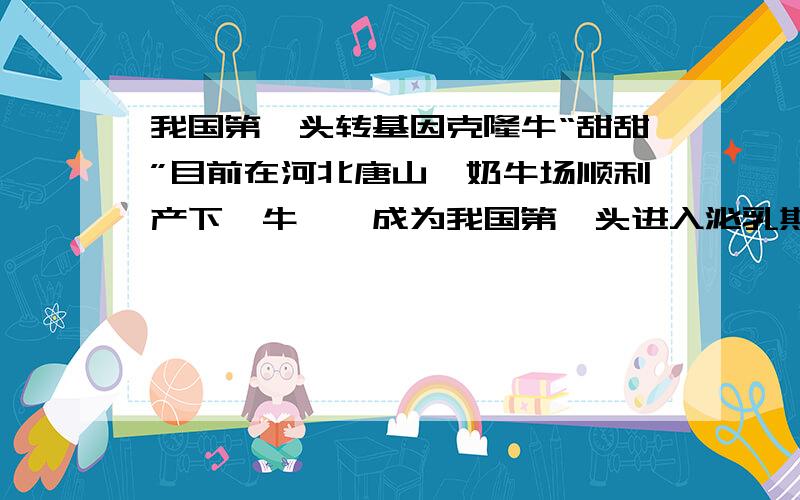 我国第一头转基因克隆牛“甜甜”目前在河北唐山一奶牛场顺利产下一牛犊,成为我国第一头进入泌乳期的转基因克隆牛.2002年10月,中国农大、农科院畜牧的研究人员从一头高产牛奶A的耳上取