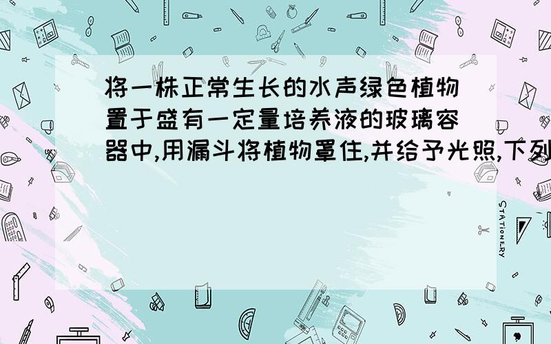 将一株正常生长的水声绿色植物置于盛有一定量培养液的玻璃容器中,用漏斗将植物罩住,并给予光照,下列能影响单位时间内小气泡产生数量的是（双选）A 玻璃容器的容积B 光照强度C 植物的