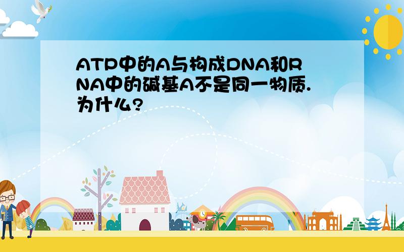 ATP中的A与构成DNA和RNA中的碱基A不是同一物质.为什么?