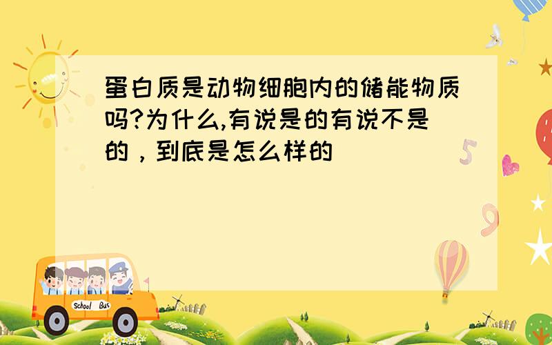 蛋白质是动物细胞内的储能物质吗?为什么,有说是的有说不是的，到底是怎么样的