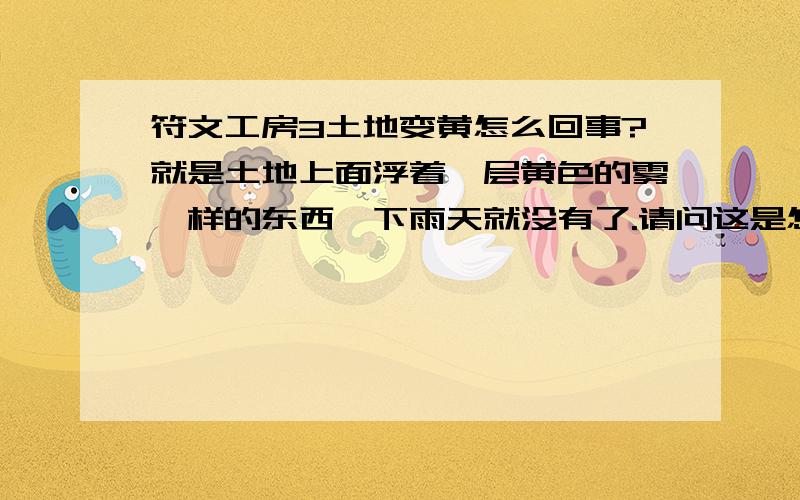 符文工房3土地变黄怎么回事?就是土地上面浮着一层黄色的雾一样的东西,下雨天就没有了.请问这是怎么回事?