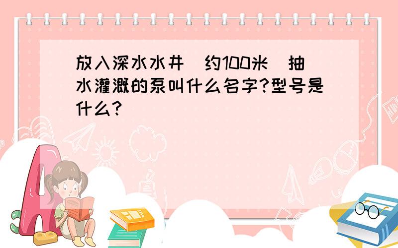 放入深水水井(约100米)抽水灌溉的泵叫什么名字?型号是什么?