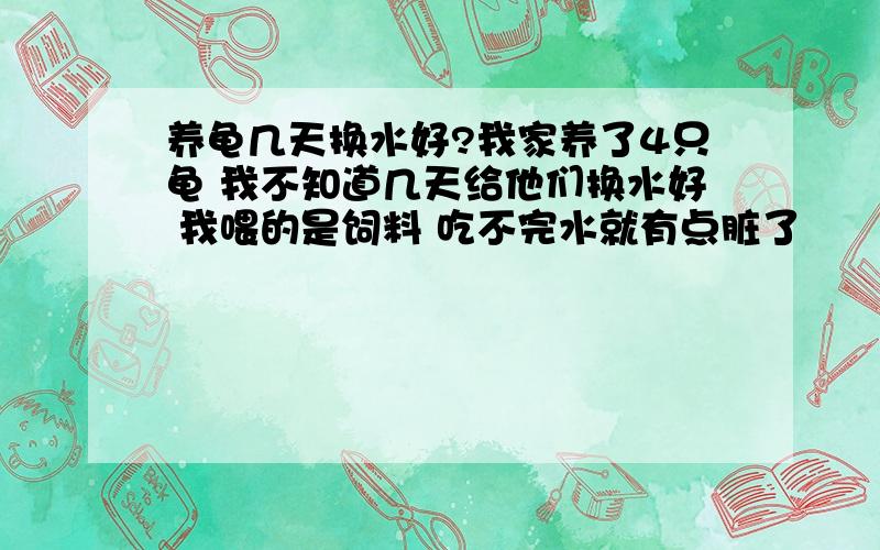 养龟几天换水好?我家养了4只龟 我不知道几天给他们换水好 我喂的是饲料 吃不完水就有点脏了