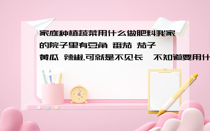 家庭种植蔬菜用什么做肥料我家的院子里有豆角 番茄 茄子 黄瓜 辣椒.可就是不见长,不知道要用什么肥料【天然的】,有告诉我说用黄豆发酵,还有什么好用见效的方法,我是一窍不通,