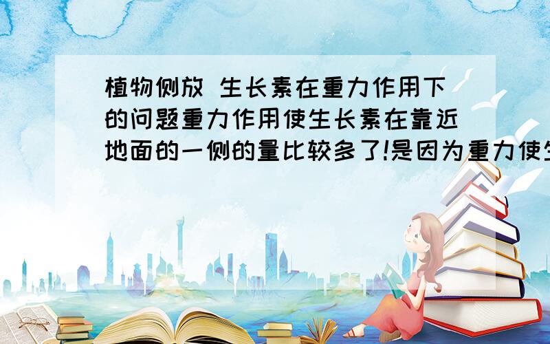 植物侧放 生长素在重力作用下的问题重力作用使生长素在靠近地面的一侧的量比较多了!是因为重力使生长素沉淀下来了?还是因为在芽处由于重力作用使其向近地处运输、再有极性运输运到