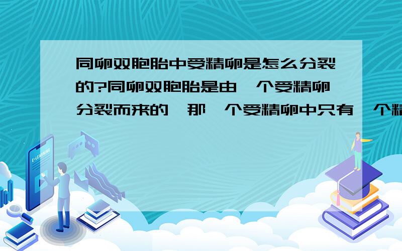 同卵双胞胎中受精卵是怎么分裂的?同卵双胞胎是由一个受精卵分裂而来的,那一个受精卵中只有一个精子,共23对染色体,变成两个胎儿的时候这些数量都要加倍才行,是因为受精卵的分裂功能吗