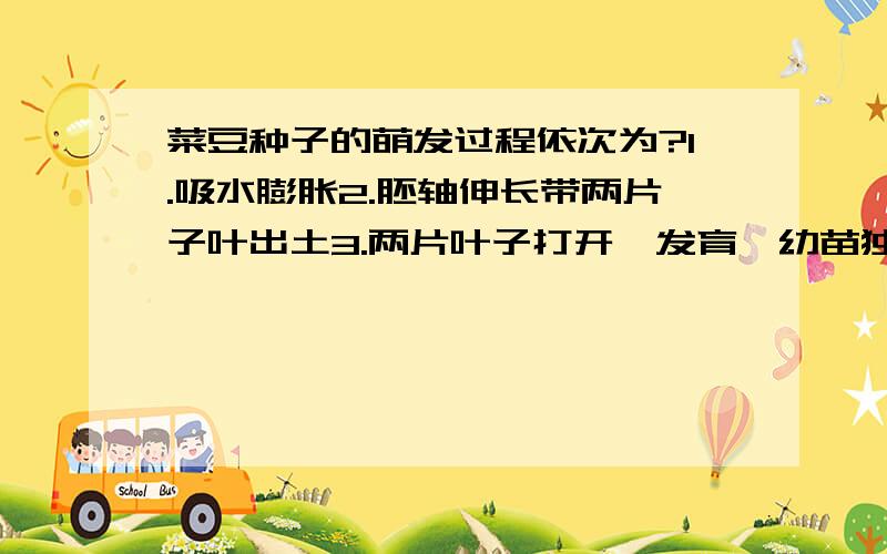 菜豆种子的萌发过程依次为?1.吸水膨胀2.胚轴伸长带两片子叶出土3.两片叶子打开,发育,幼苗独立生活4.子叶的营养物质转运给胚根、胚芽和胚轴后,胚根伸长,突破种皮,发育成根A 1234B 4132C 4123D