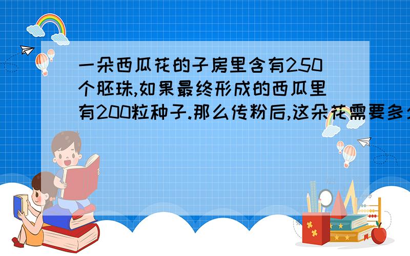 一朵西瓜花的子房里含有250个胚珠,如果最终形成的西瓜里有200粒种子.那么传粉后,这朵花需要多少精子?要具体分析原因!