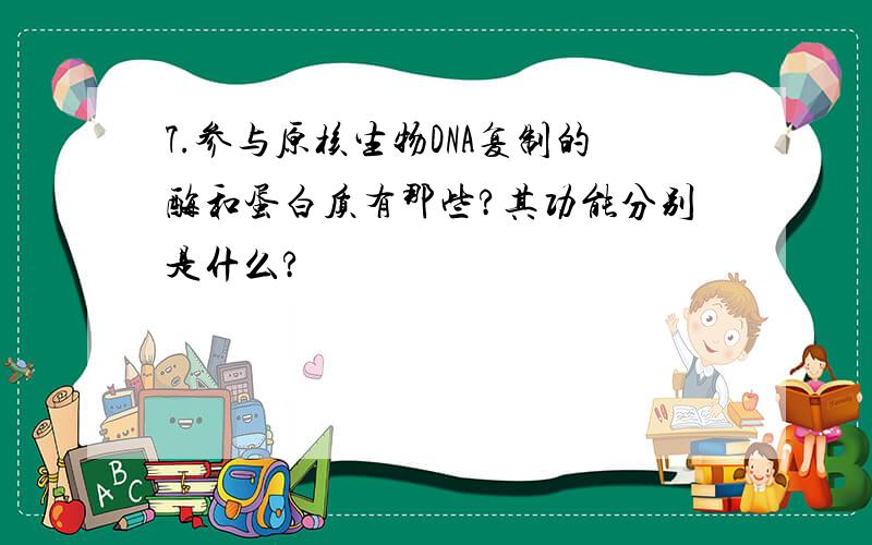 7.参与原核生物DNA复制的酶和蛋白质有那些?其功能分别是什么?