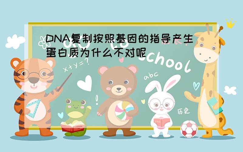 DNA复制按照基因的指导产生蛋白质为什么不对呢