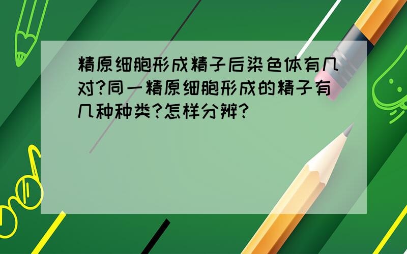 精原细胞形成精子后染色体有几对?同一精原细胞形成的精子有几种种类?怎样分辨?