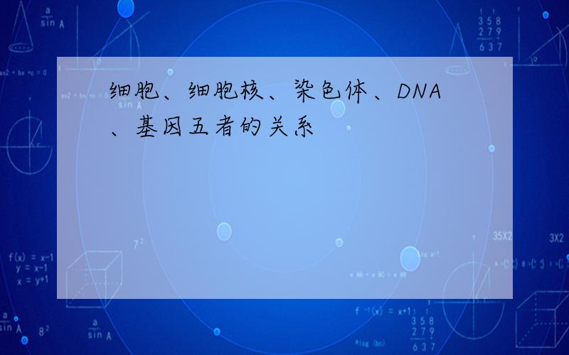 细胞、细胞核、染色体、DNA、基因五者的关系