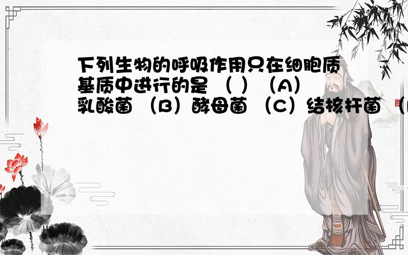 下列生物的呼吸作用只在细胞质基质中进行的是 （ ）（A）乳酸菌 （B）酵母菌 （C）结核杆菌 （D）硝化菌