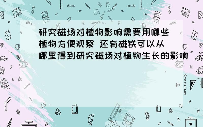 研究磁场对植物影响需要用哪些植物方便观察 还有磁铁可以从哪里得到研究磁场对植物生长的影响`注意~1 植物用种子2 还有生长较快的植物 3 冬天来了 还要用御寒的4 磁铁如何摆放 5 植物应