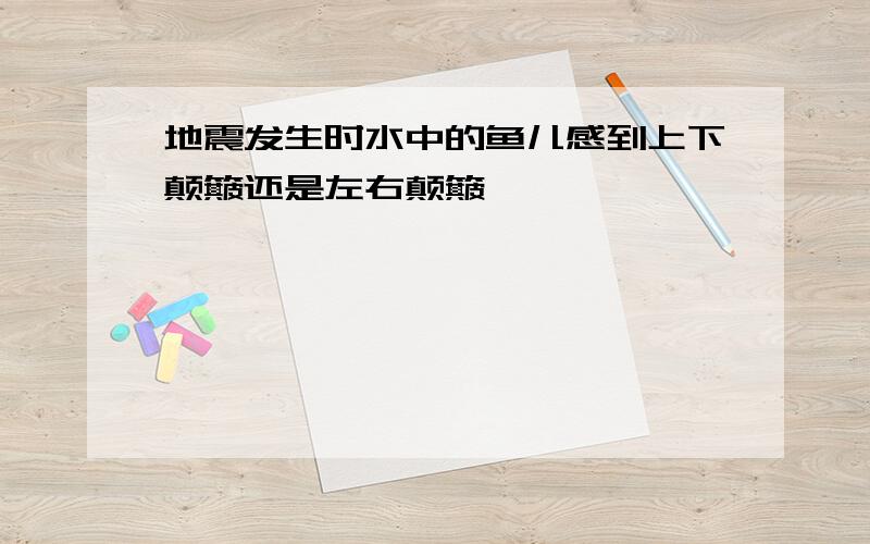 地震发生时水中的鱼儿感到上下颠簸还是左右颠簸