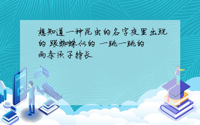 想知道一种昆虫的名字夜里出现的 跟蜘蛛似的 一跳一跳的 两条须子特长