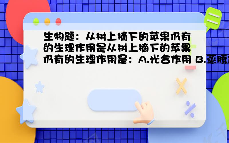 生物题：从树上摘下的苹果仍有的生理作用是从树上摘下的苹果仍有的生理作用是：A.光合作用 B.蒸腾作用 C.呼吸作用 D.吸收作用请帮我分析一下,谢谢!