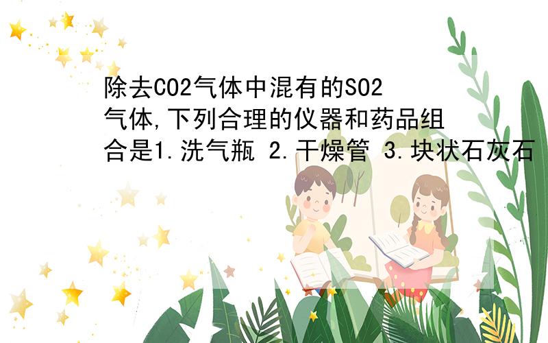 除去CO2气体中混有的SO2气体,下列合理的仪器和药品组合是1.洗气瓶 2.干燥管 3.块状石灰石 4.苏打溶液 5.小苏打溶液A.1 5 B.2 5 C.1 3 D.1 4为什么选A,我选的是B,