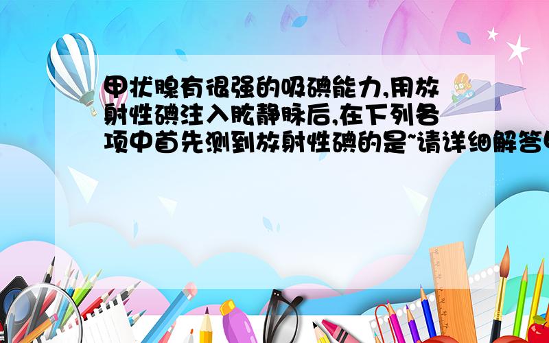 甲状腺有很强的吸碘能力,用放射性碘注入肱静脉后,在下列各项中首先测到放射性碘的是~请详细解答甲状腺有很强的吸碘能力,用放射性碘注入肱静脉后,在下列各项中首先测到放射性碘的是