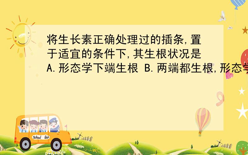 将生长素正确处理过的插条,置于适宜的条件下,其生根状况是A.形态学下端生根 B.两端都生根,形态学下端数量较多C.形态学上端生根 D.两端都生根,数量基本一致B 为啥选B