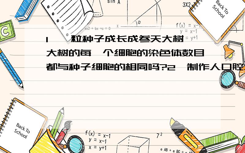 1、一粒种子成长成参天大树,大树的每一个细胞的染色体数目都与种子细胞的相同吗?2、制作人口腔上皮细胞临时装片时,应注意些什么问题?3、细胞生活过程中为什么会产生尿素、二氧化碳等