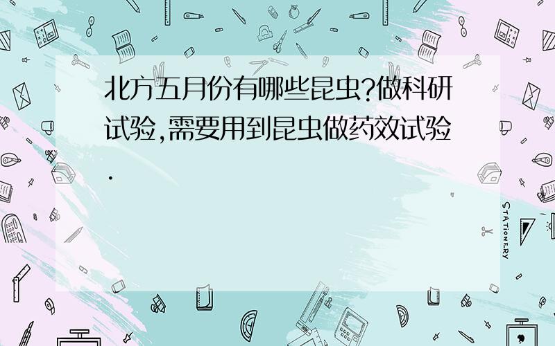 北方五月份有哪些昆虫?做科研试验,需要用到昆虫做药效试验.