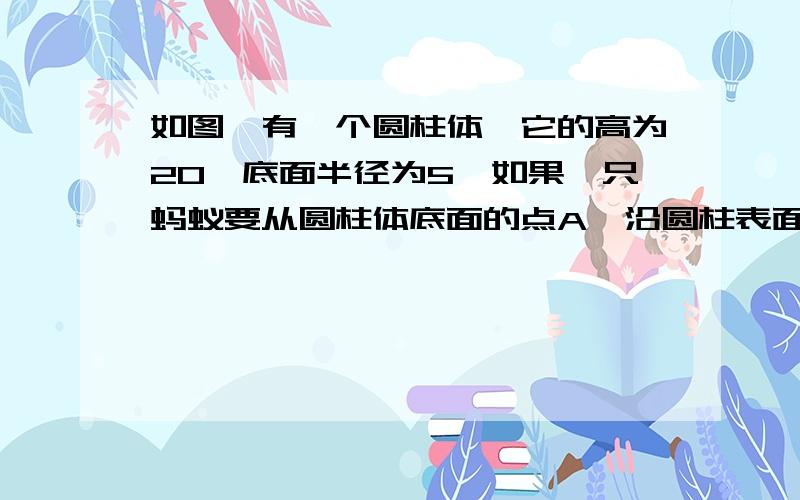 如图,有一个圆柱体,它的高为20,底面半径为5,如果一只蚂蚁要从圆柱体底面的点A,沿圆柱表面爬到与A相对的上底面点B,则蚂蚁的最短路线为?（pai 取3