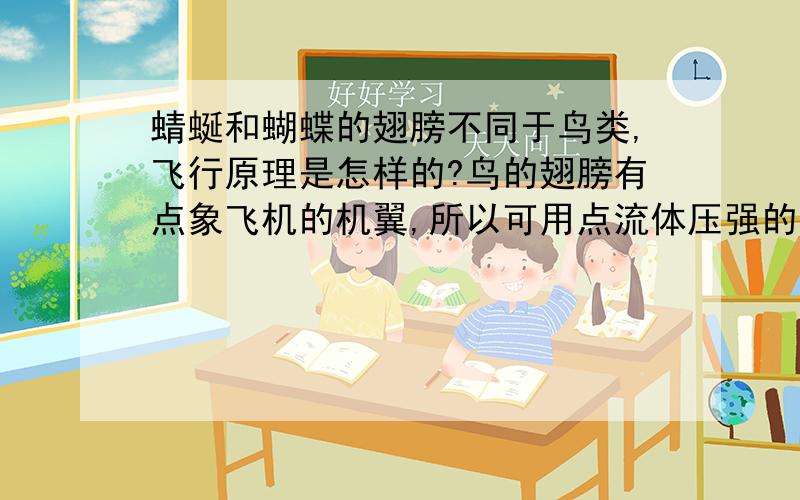 蜻蜒和蝴蝶的翅膀不同于鸟类,飞行原理是怎样的?鸟的翅膀有点象飞机的机翼,所以可用点流体压强的来解释.可是蜻蜓的翅膀是平板,它的飞行原理是怎样的?同时蜻蜓和蝴蝶翅膀的震动频率也