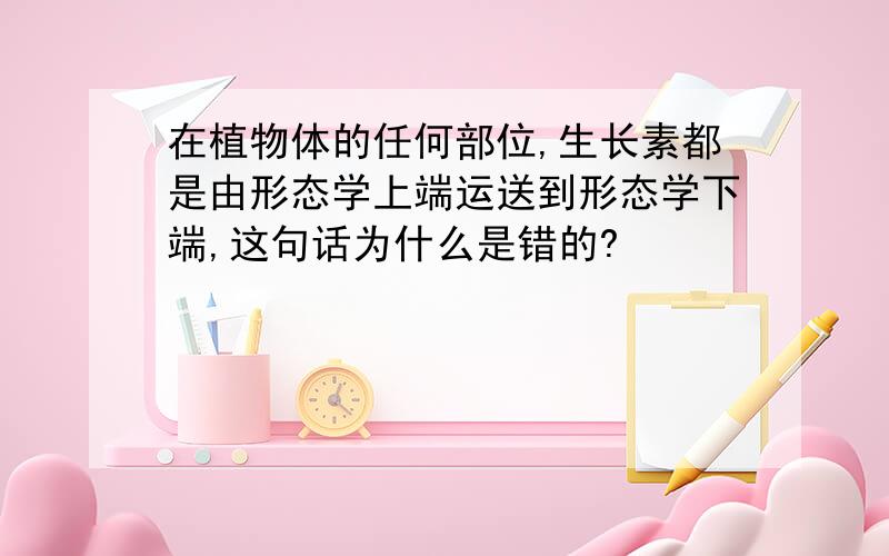 在植物体的任何部位,生长素都是由形态学上端运送到形态学下端,这句话为什么是错的?