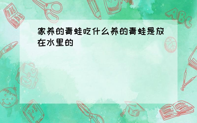 家养的青蛙吃什么养的青蛙是放在水里的